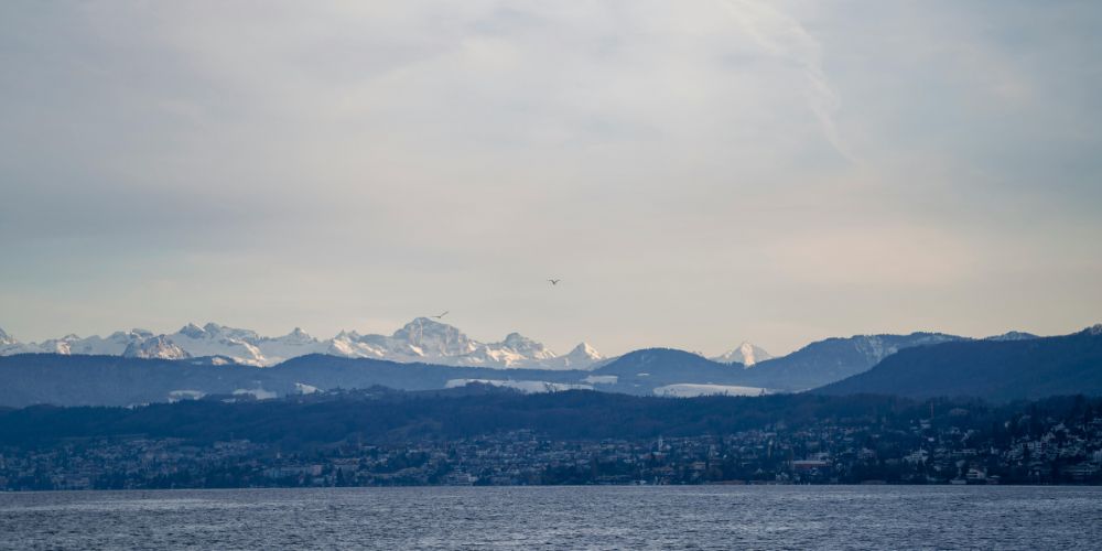 Lake Zurich