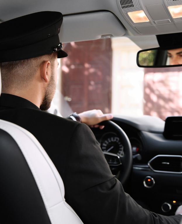 Private professional driver chauffeur